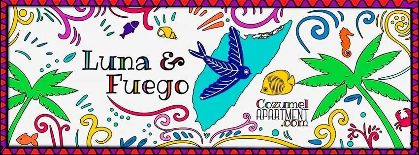 vacation rentals in cozumel mexico